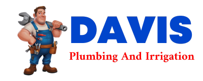 Trusted plumber in HELENA